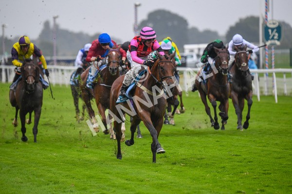 140723-Race 4-Andaleep-0390 - Race 4 3.50pm Azets Handicap