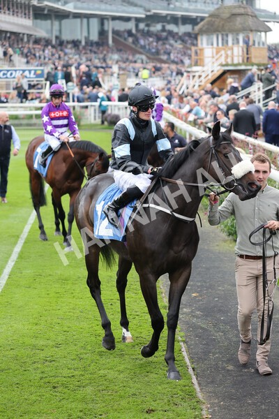 yr09102021r1-22 - Race 1 1.30pm Watch Racing Free Online At Coral Nursery Handicap