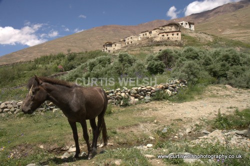 180 - LADAKH - INDIA