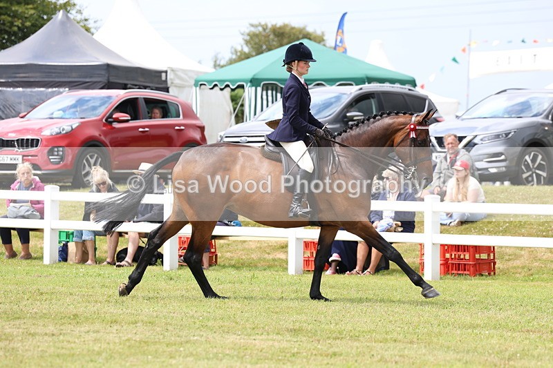 3E7A0877 - Class 8: Open Riding Horse/Hack