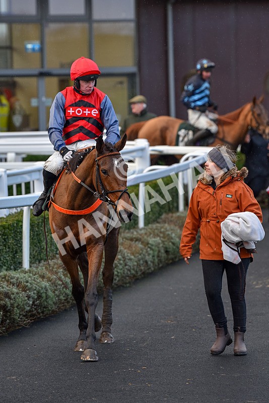 281223-Race 4-Lavida Adiva-0118 - Race 4