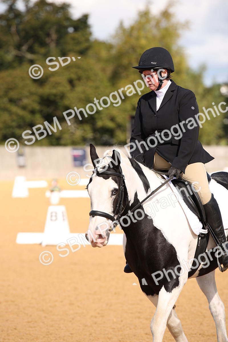 SBM_04327 - D2 Small Tour Championship Intro C