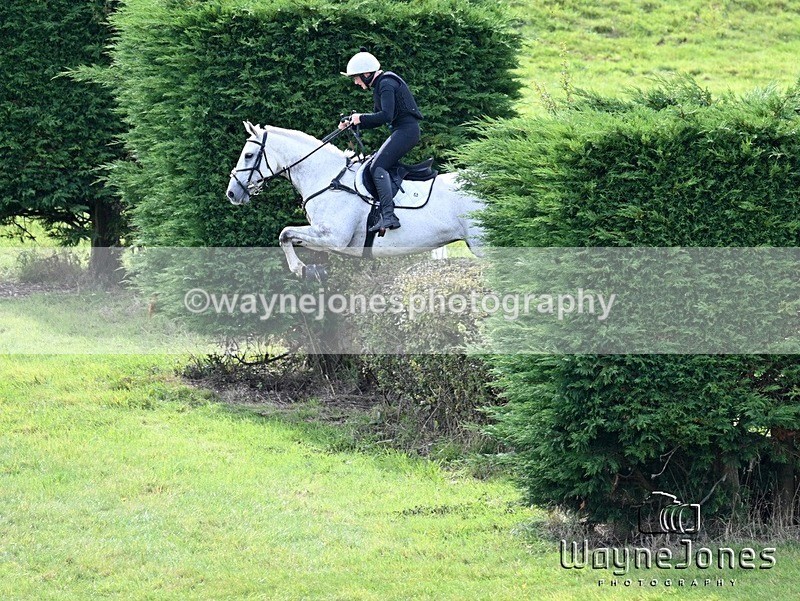 WJ7_7340 - Edited Examples