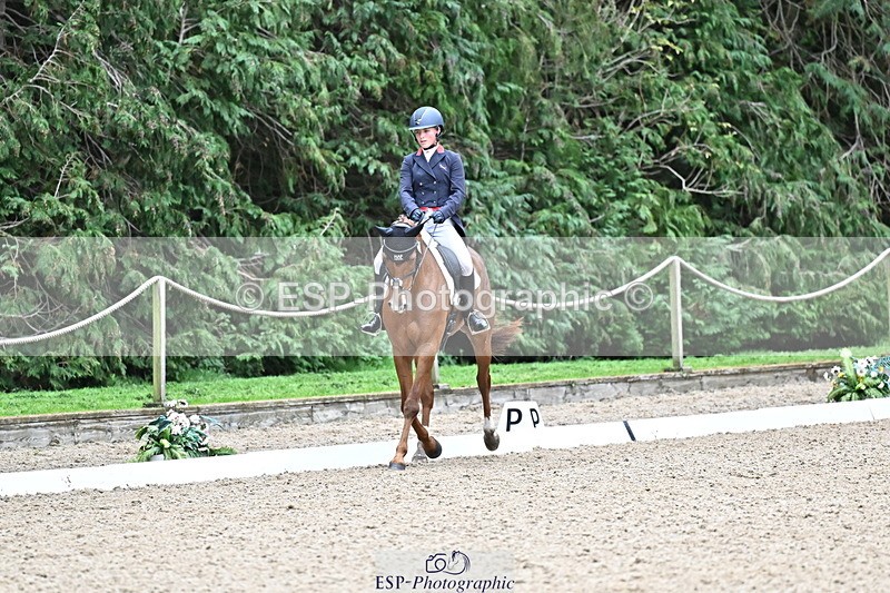 251022A-144756-00130 - C-206-Madison.Tapner