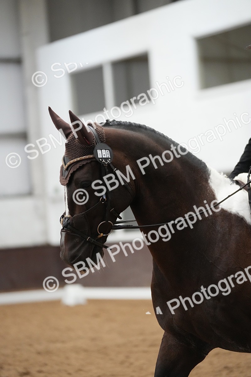 SBM_004319 - Class 11 - Elementary 2 Champs