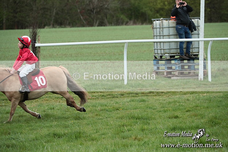 SHETPR 210425 216 - Shetland Ponies Paxford Races 21/04/25