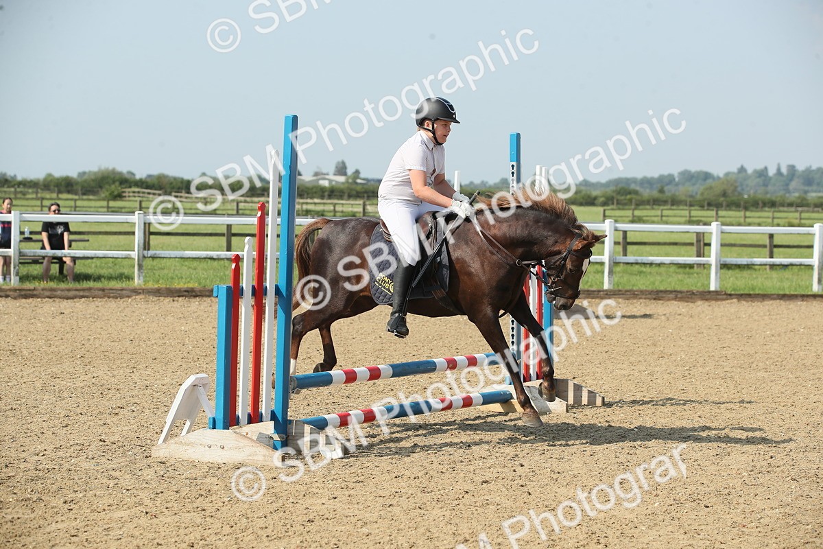 SBM_010737 - 50cm