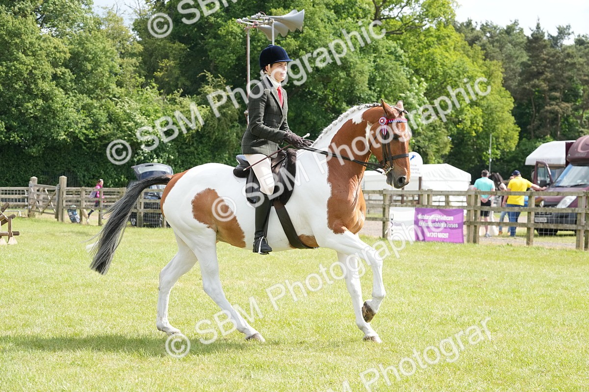 SBM_17577 - Class 107-108 - LIHS BSPS Performance Coloured Horse Pony