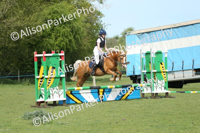 20260426-1610 - Class 14 - Novice 60cm