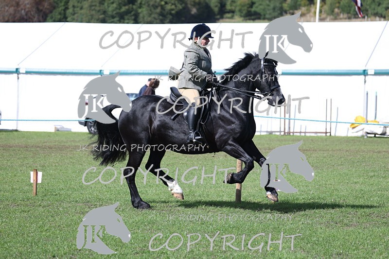 APP_3532 - Class 12 M&M ridden