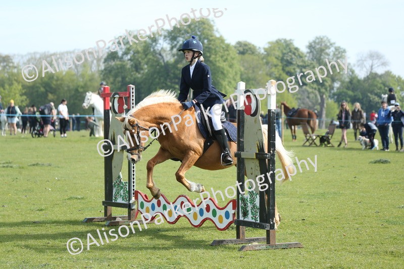20260426-0158 - Class 13 - Rookie Jumping 50cm