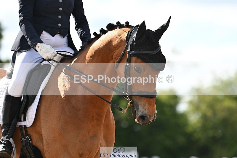 240622A-173950-15369 - Cls 7B+C Elementary 44 RoR