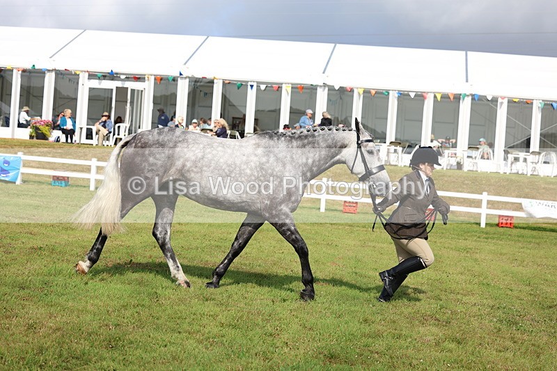 3E7A9074 - Class 3: Rising Star S/L Hunter