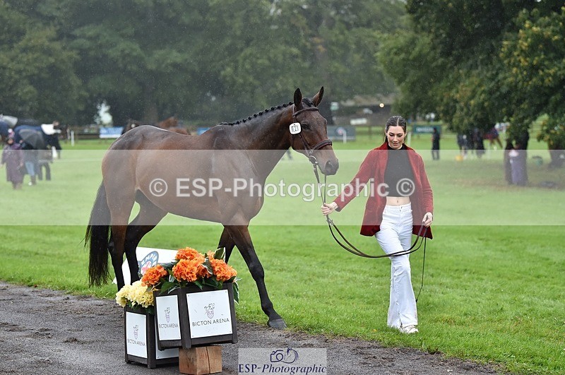 231018-121410-00154 - 023-THE.REAL.MCKAY-Jess.Rimmer-TrotUp