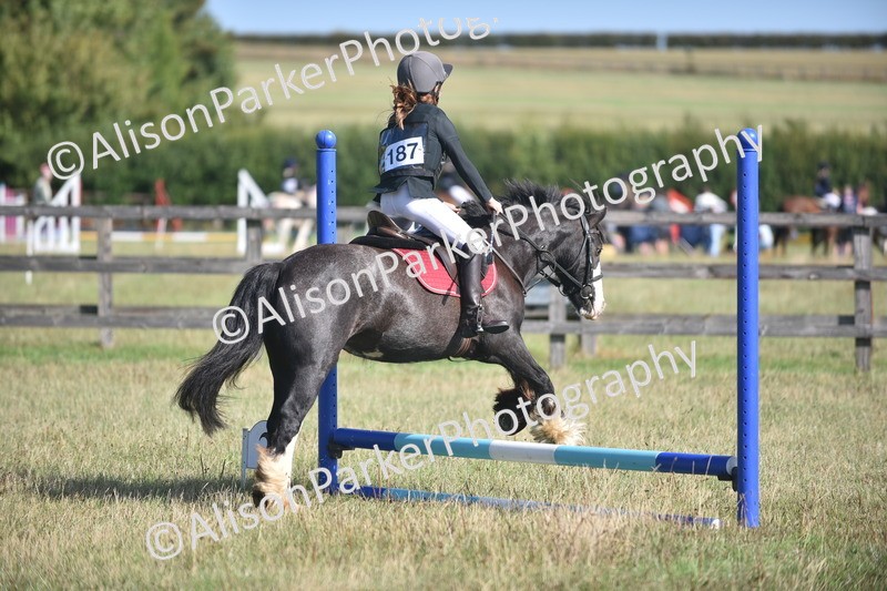 20260906-0939 - Class 7 - Absolute Novice Jumping 35cm