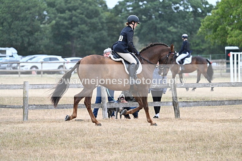 WJ7_0891 - Class 7 Riding Club Show Horse