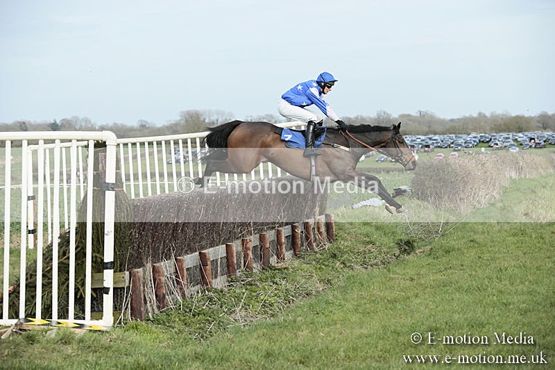 PtP 230319 344 - VWH Hunt Siddington Point-to-Point Racing 23/03/19