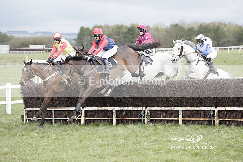 PtP 260323 0385 - New Forest Hounds Point-to-Point Larkhill 26/03/23