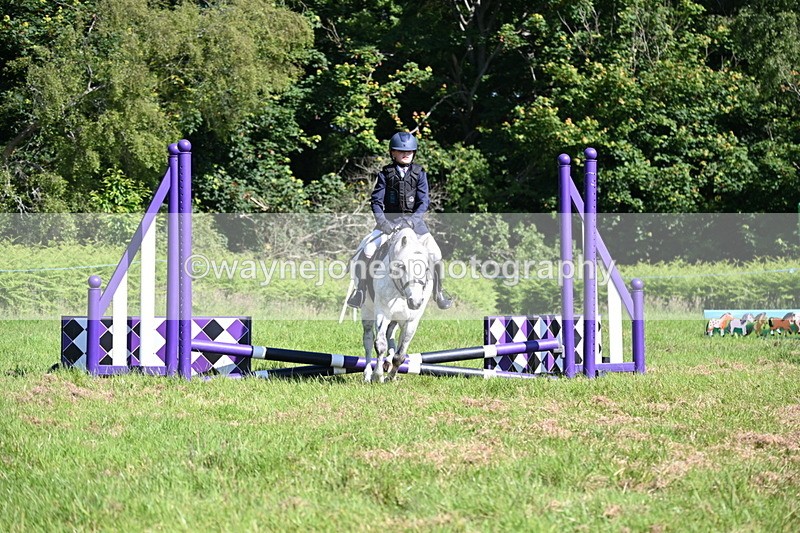 WJ6_3694 - Class 1 Tiny Cross Poles