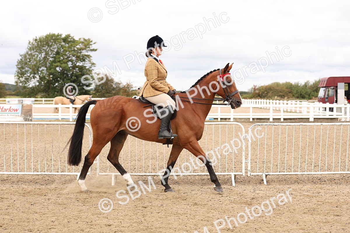 SBM_02799 - Class 53 - Ridden Competition Horse/Pony