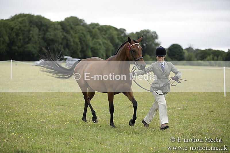 BVR160717-857 - Ring 2 BVRC Show 16/07/17