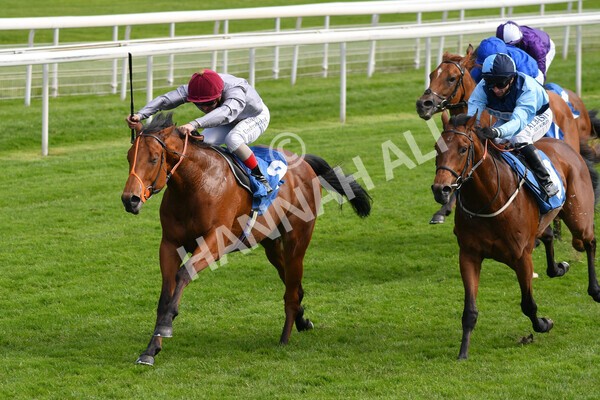 yr13052021r6-32 - Race 6 4.15pm Constant Security EBFstallions.com Maiden Stakes
