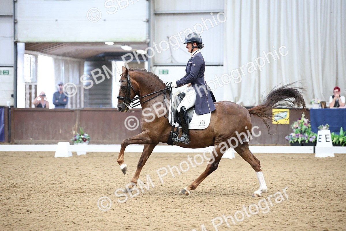 SBM_004856 - Class 9 - FEI Inter 1 Gold - 16.59-17.47