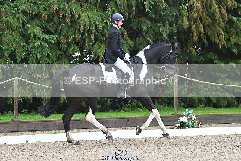 231019-103547-01902 - 101-RICARDO.COLOURS.II-Elizabeth.Wadey-DR