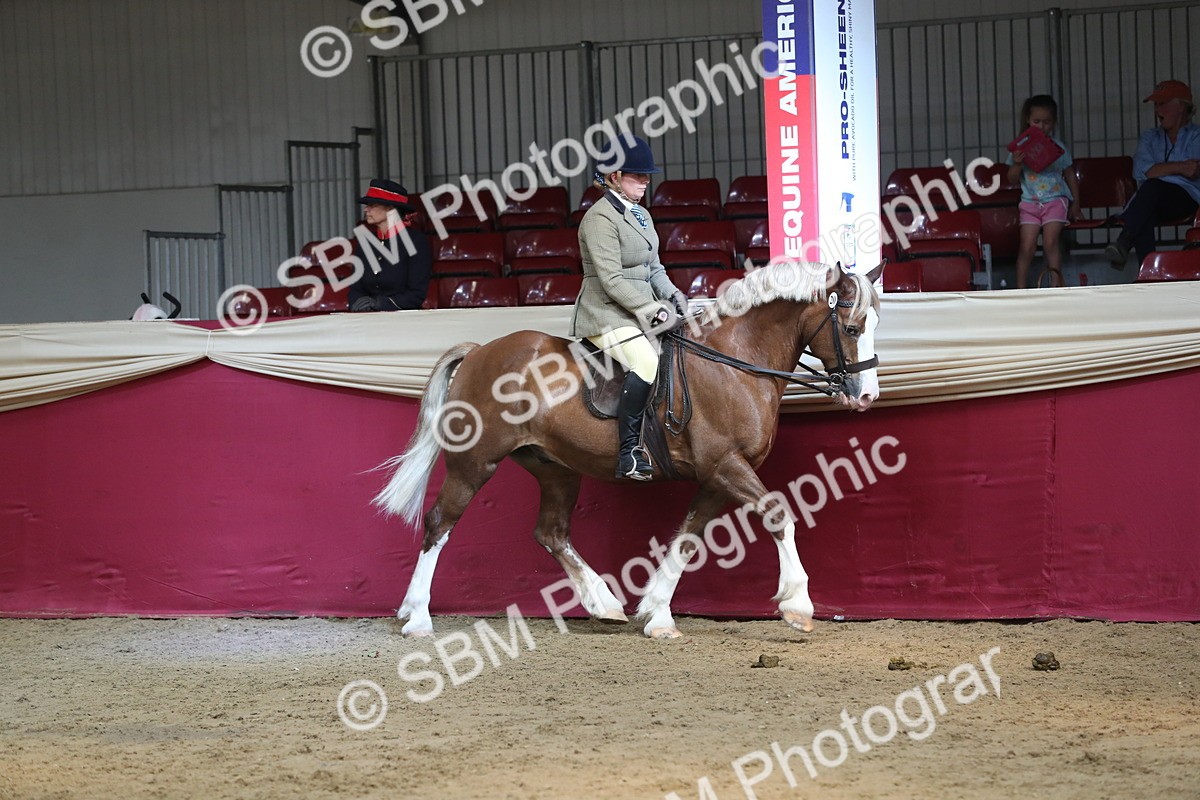 SBM_08287 - Class 11R Regional Ridden Veteran