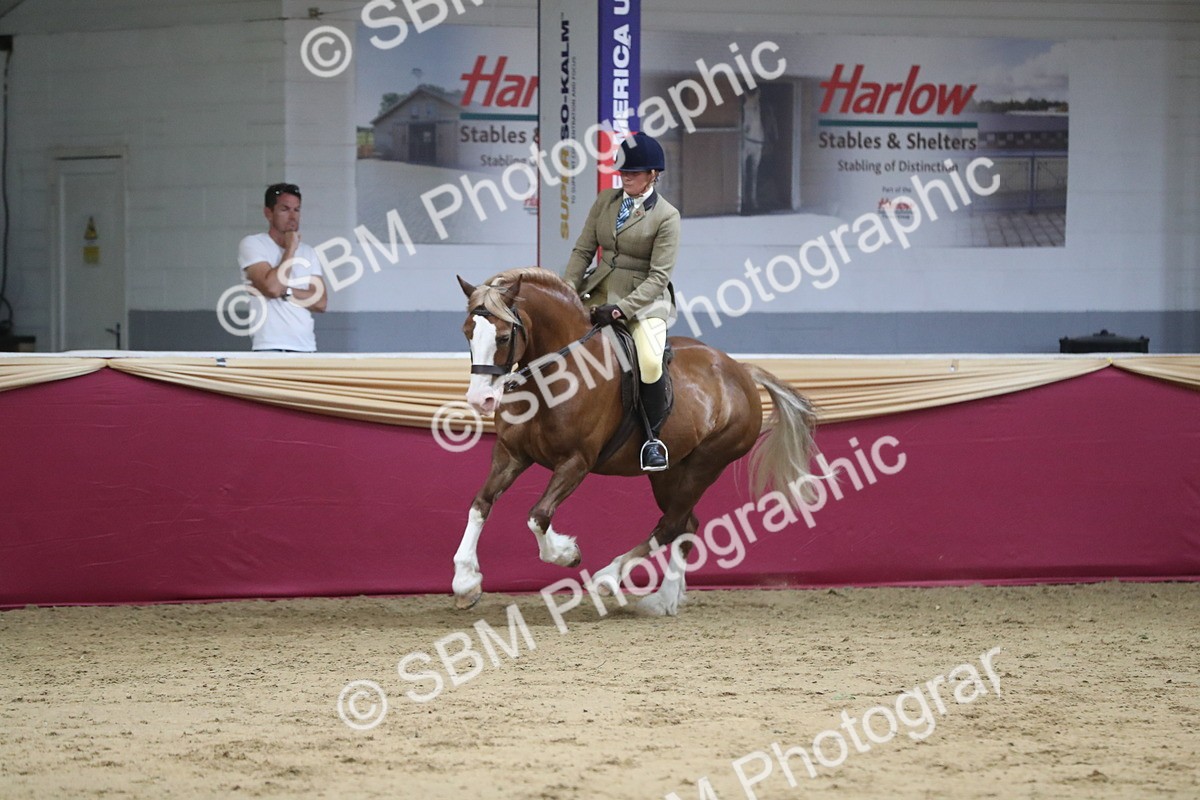 SBM_08416 - Class 11R Regional Ridden Veteran