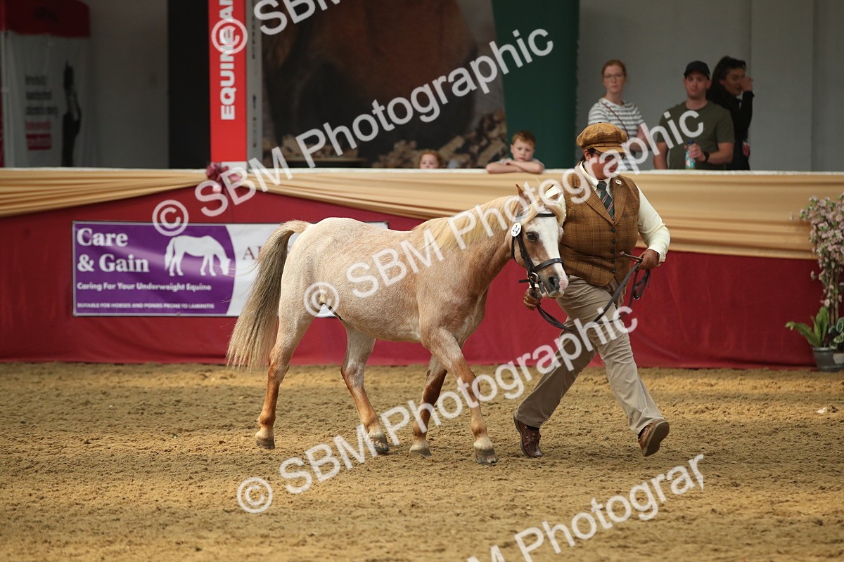SBM_05386 - Class 8R - Regional IH Veteran