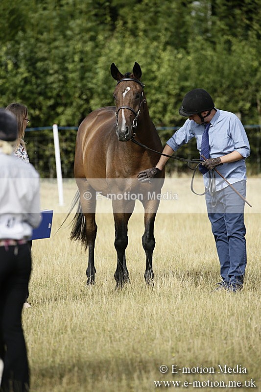 _EP59078 - BVRC Sow 2018 Ring 2