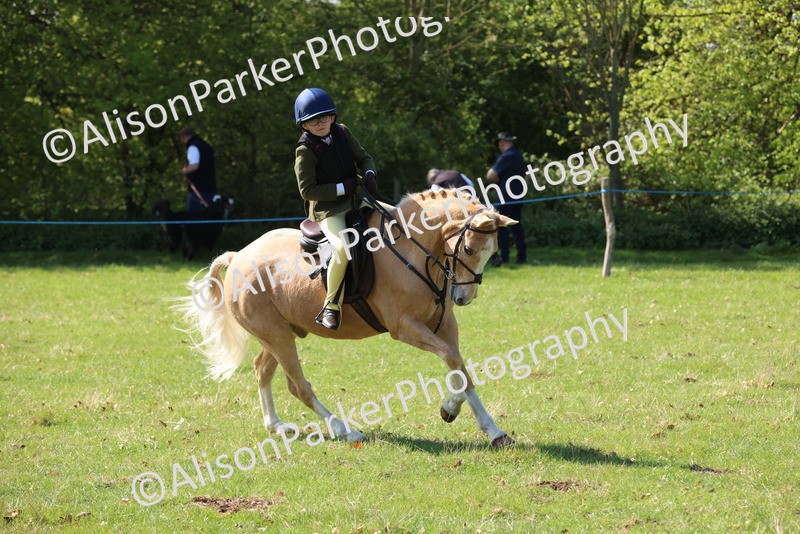 20250427-2411 - Class 19 - Mini Working Hunter