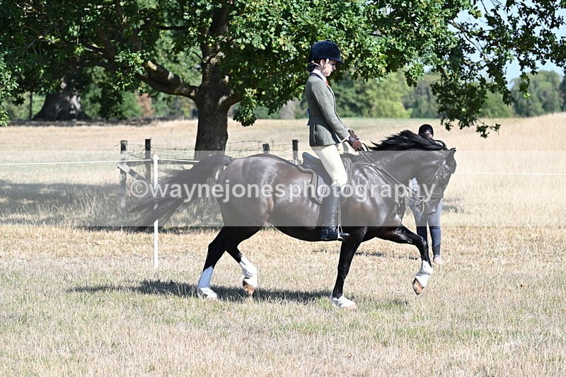 WJ7_3720 - Class 9 Mountain & Moorland Ridden