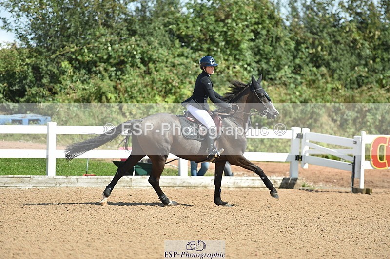 230723A-155458-13215 - Cls 16, 1 Star Bronze 1.15m