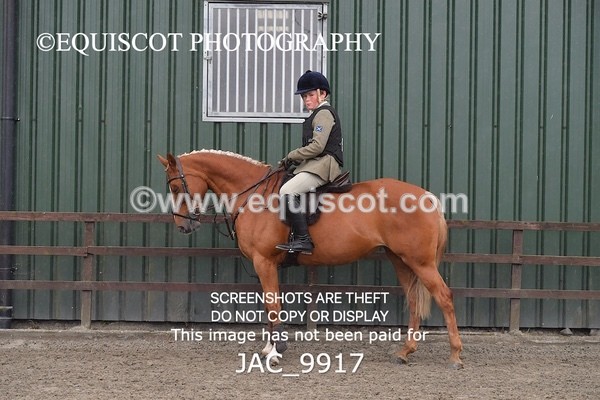 JAC_9917 - CLASS 3 Intermediate Working Hunter (0.70m - 0.85m)