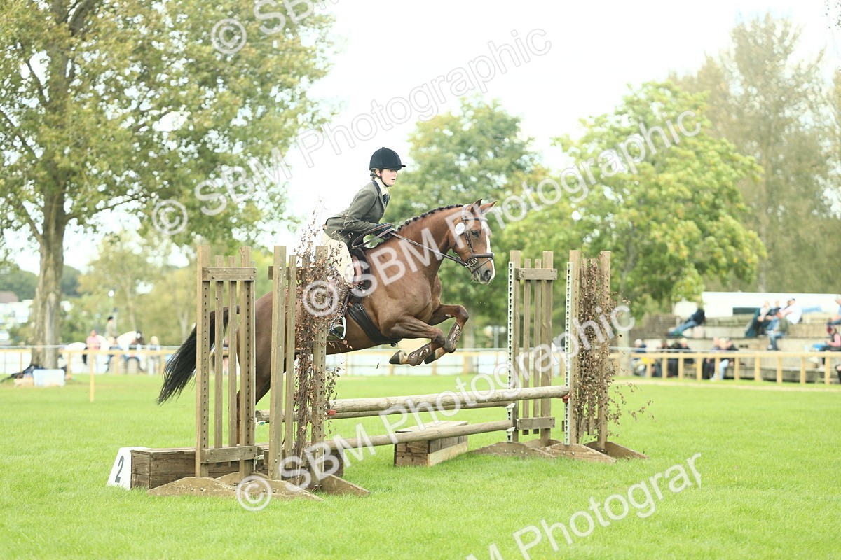 SBM_47953 - S32 - Novice & Newcomers Working Hunter