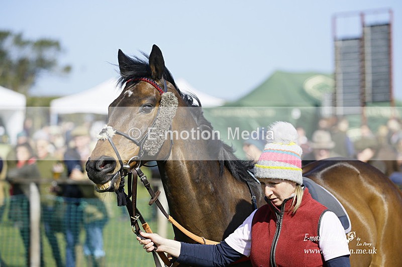 PtP 190322 345 - Wilton Hunt PtP Milborne St Andrew 19/03/22