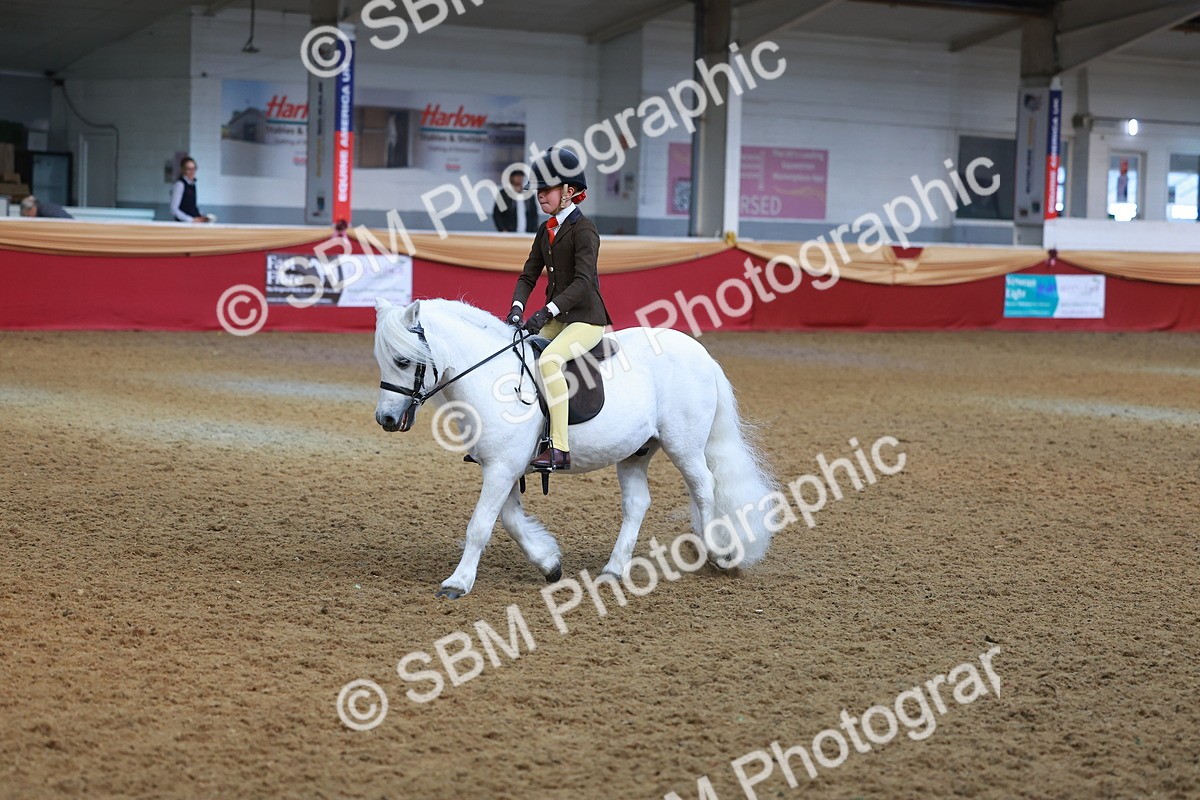 SBM_09451 - Class 102 - HOYS Veteran Qualifier - Ridden Veteran