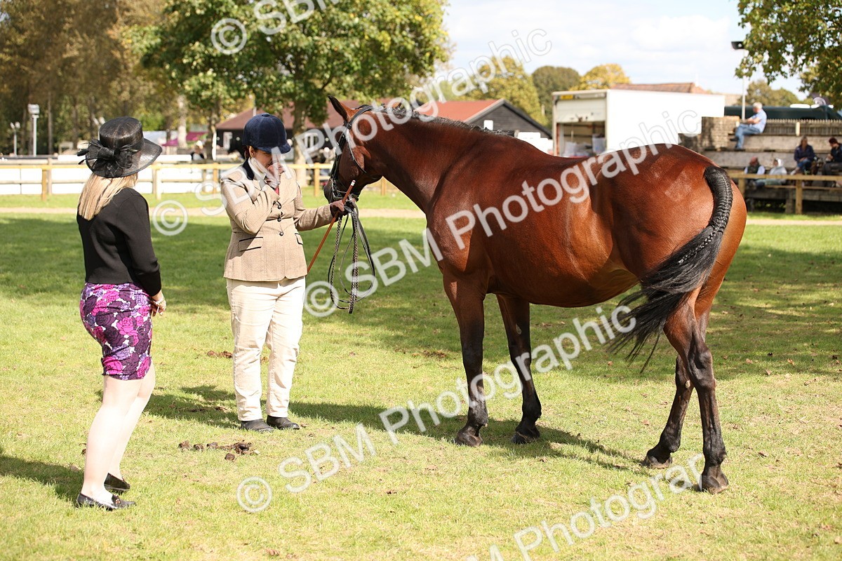 SBM_44460 - S24 - Young Veteran in hand