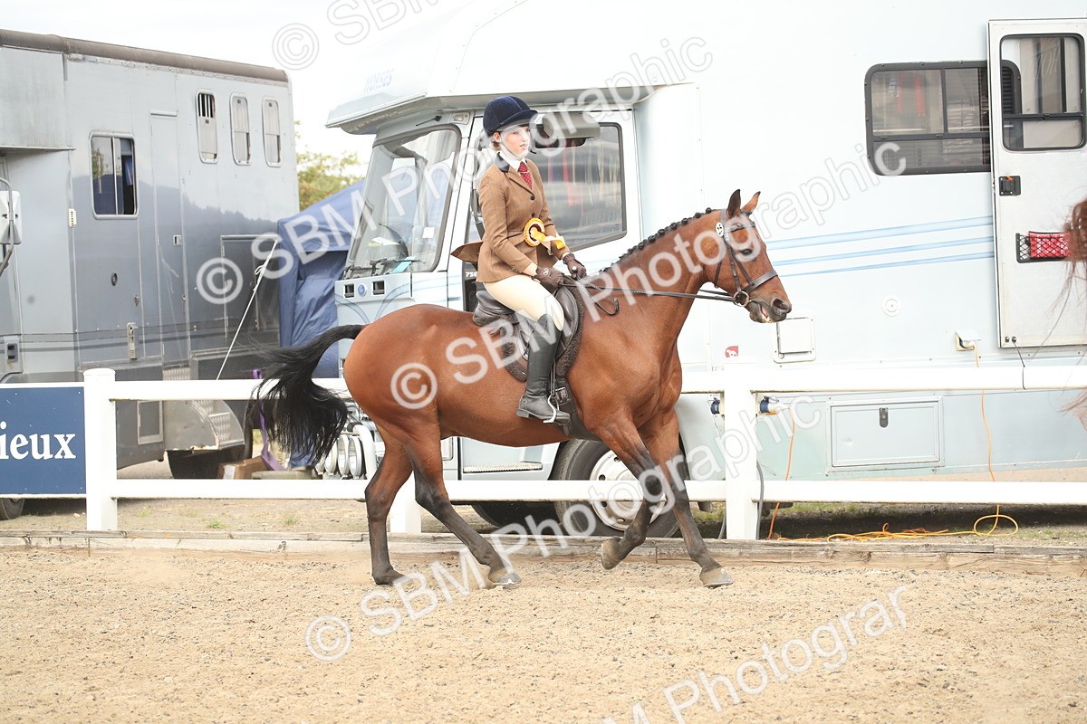 SBM_16583 - Class 506b - Working Veteran - 50cm (20+)