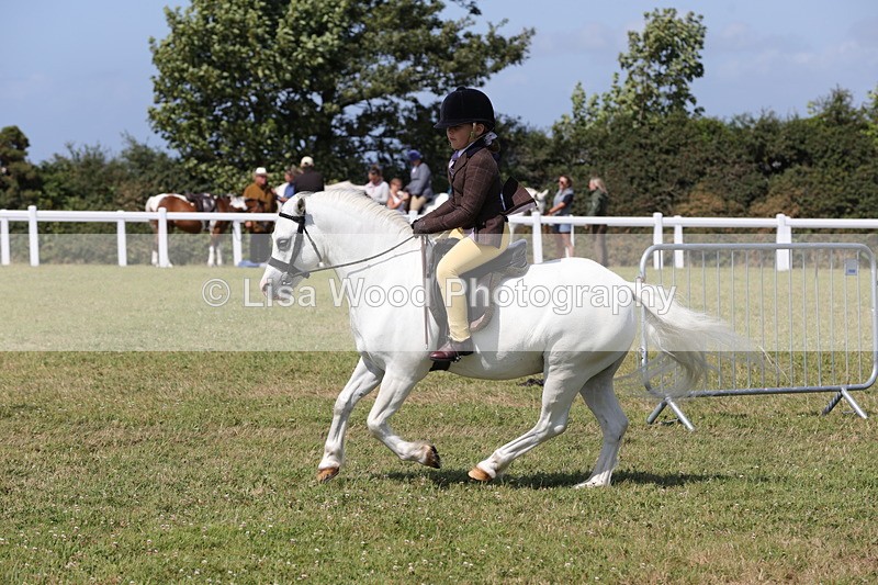 1X9A5389 - Class 37: NPS M&M First Ridden