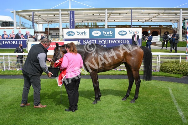  - Race 3 2.40pm The Matchbook Betting Podcast Hambleton Stakes