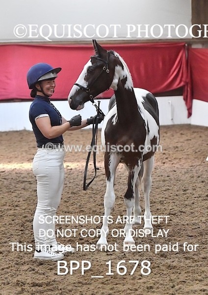 BPP_1678 - MORNING 9AM - 12PM