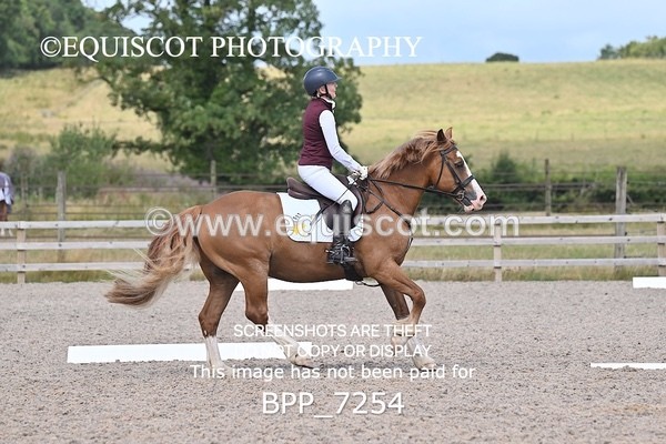BPP_7254 - PRELIM 3