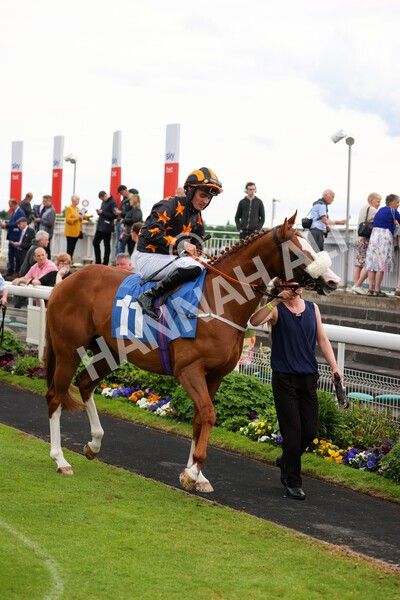 yr22052022r3-28 - Race 3: 4:35pm Sky Bet Sunday Series Dash
