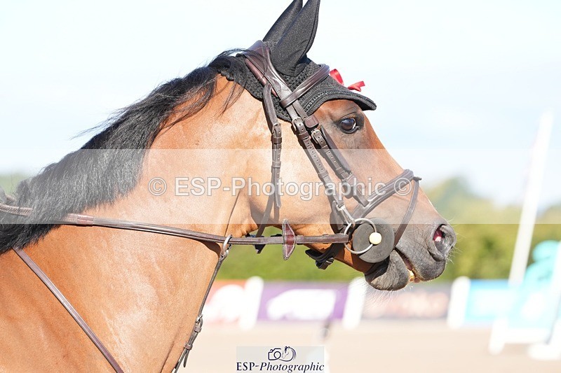 250802-091658-08281 - Cls 19 British Novice and 90cm Open