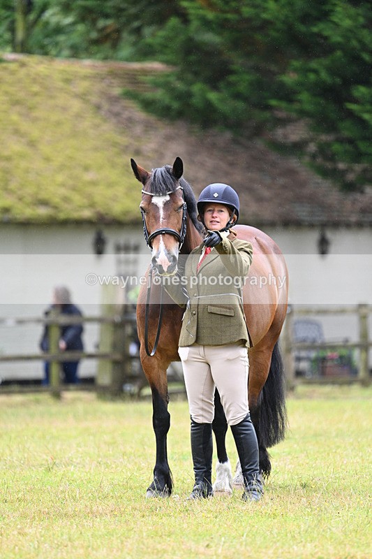 WJ7_6289 - Class 4a Prettiest Mare over 14hh