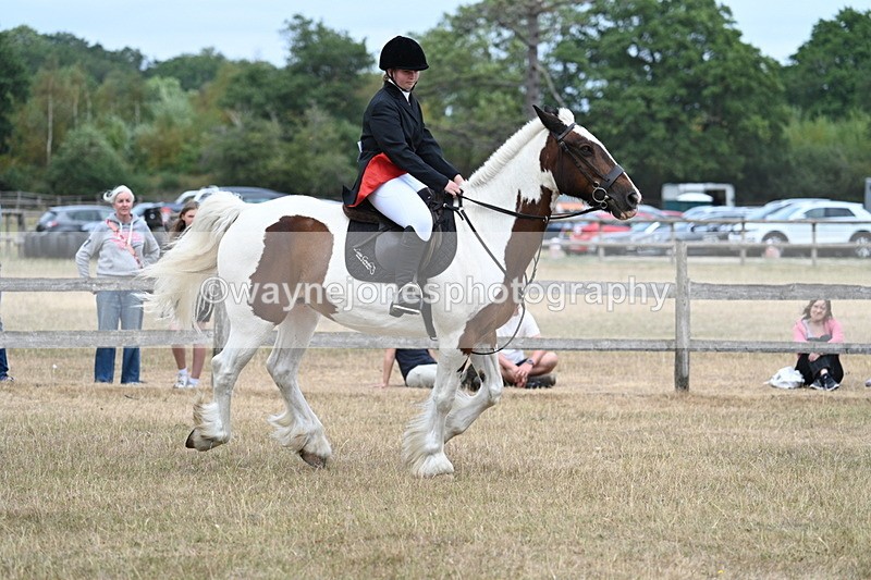 WJ7_1376 - Class 8 Ridden Veterans