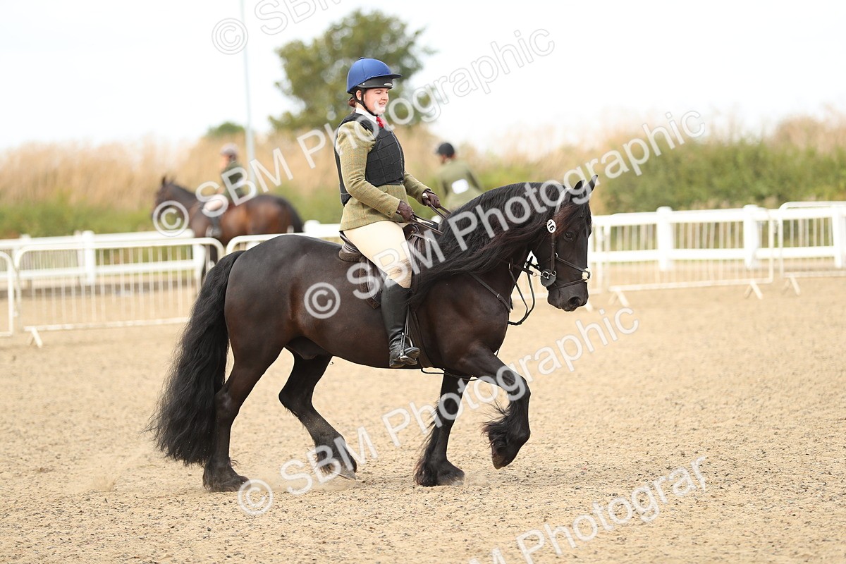 SBM_05589 - Class 48a Style & Performance 70cm (15-19)